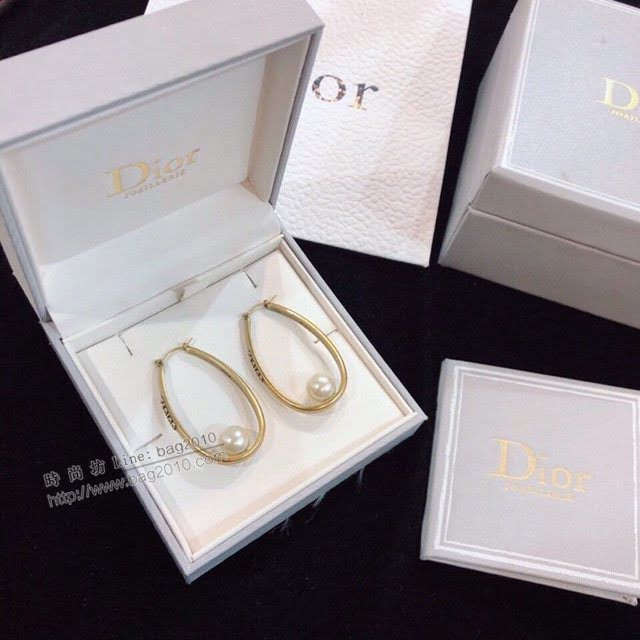 Dior飾品 迪奧經典熱銷款CD耳釘耳環  zgd1208